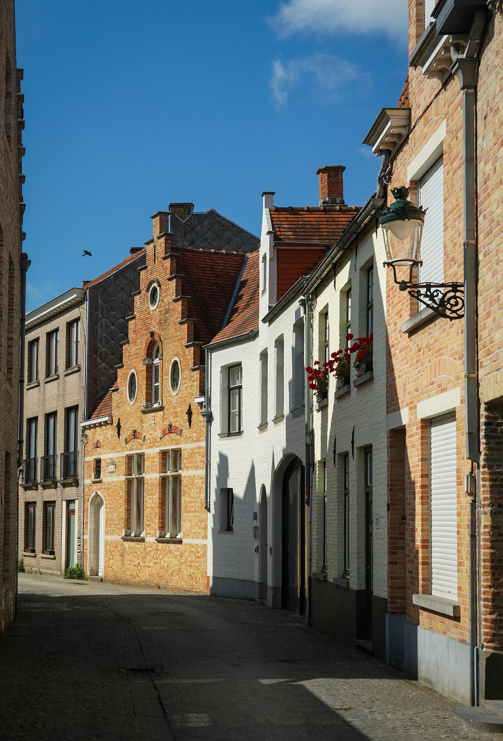 Kunststof voordeur en kozijnen die passen bij het straatbeeld in Heeze